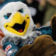 Swoop