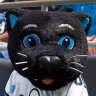 Sir Purr