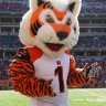 Who Dey