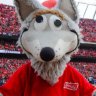 KC Wolf