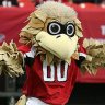 Freddie Falcon